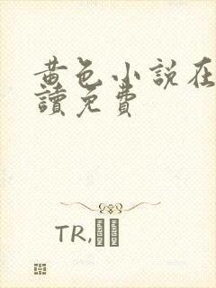 黄色小说在线阅读免费