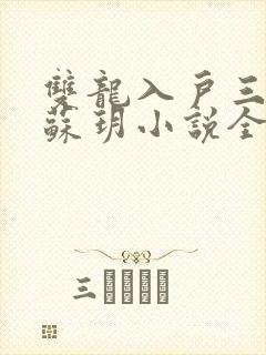 双龙入户三人行苏玥小说全文阅读