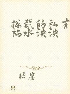 总裁的私有宝贝祸水泱泱