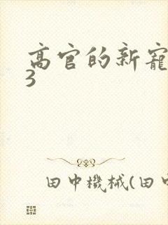 高官的新宠1V3