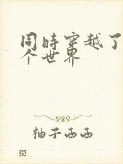 同时穿越了99个世界