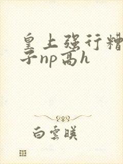 皇上强行糟蹋太子np高h