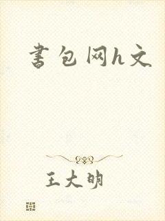 书包网h文