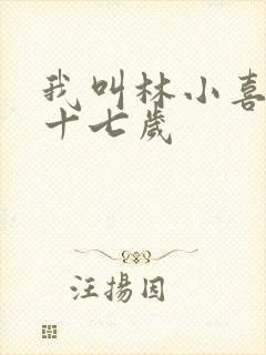 我叫林小喜今年十七岁