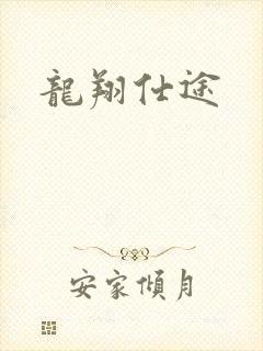 龙翔仕途