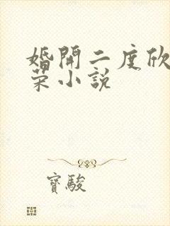 婚开二度欣欣向荣小说