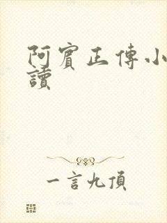 阿宾正传小说在读