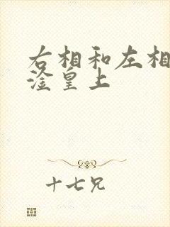 右相和左相一起淦皇上