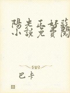 阳光正好苏玥玥小说免费阅读