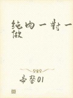 纯肉一对一到处做