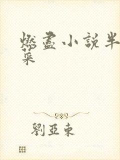 燃尽小说半截白菜