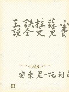 王铁柱苏小汐小说全文免费阅读最新章节