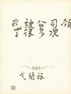 我被公司领导C了很多次