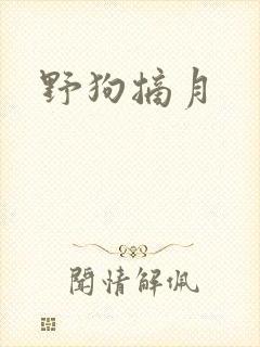 野狗摘月