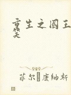 重生之国王的微笑