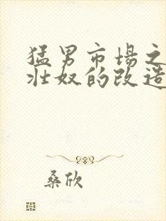 猛男市场之肌肉壮奴的改造