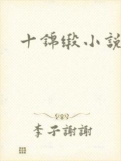 十锦缎小说