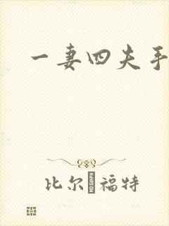 一妻四夫手记