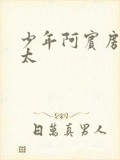 少年阿宾房东太太