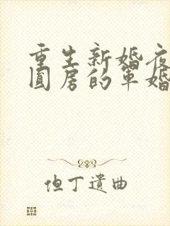 重生新婚夜正在圆房的军婚