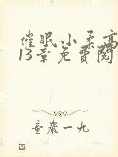 催眠小柔高达第13章免费阅读