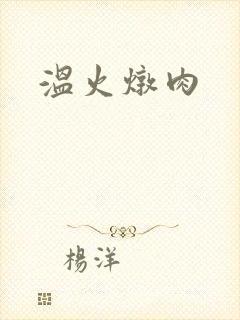 温火炖肉