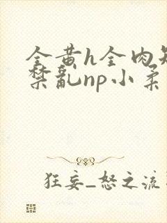 全黄h全肉短篇禁乱np小柔