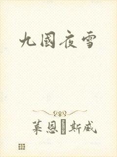 九国夜雪