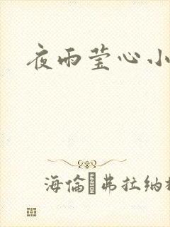 夜雨莹心小说
