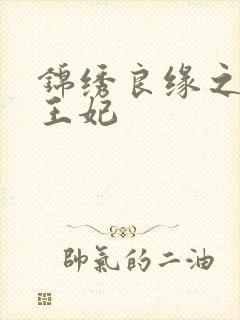 锦绣良缘之北地王妃