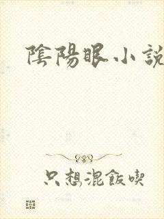 阴阳眼小说