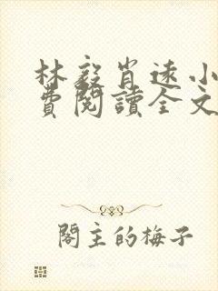 林毅肖远小说免费阅读全文最新章节