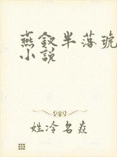 燕钗半落琥珀糖小说