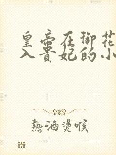 皇帝在御花园进入贵妃的小说