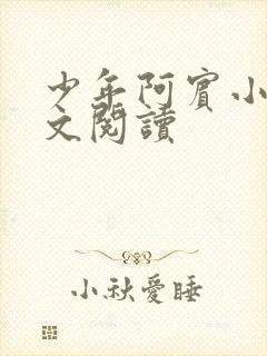 少年阿宾小说全文阅读