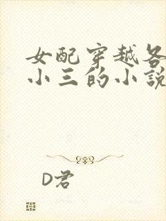 女配穿越各个做小三的小说