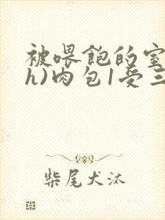 被喂饱的室友(h)肉包1受三攻