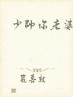 少帅你老婆