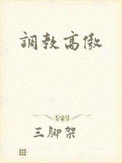 调教高傲