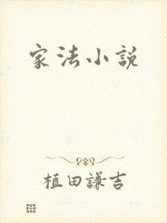 家法小说