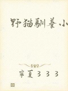 野猫驯养小说