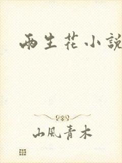 两生花小说