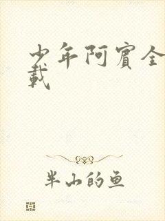 少年阿宾全集下载