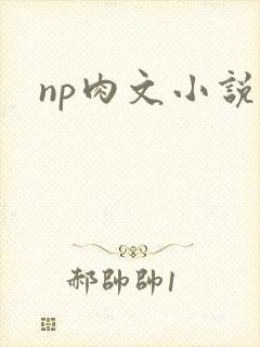 np肉文小说
