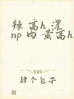辣 高h 浓 np 肉 黄高h
