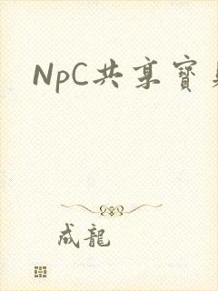 NpC共享宝贝