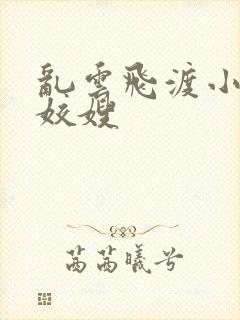 乱云飞渡小说之姣嫂