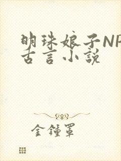 明珠娘子NPC古言小说