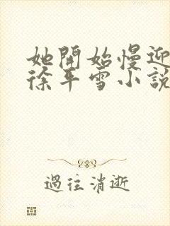 她开始慢迎迎合徐平雪小说