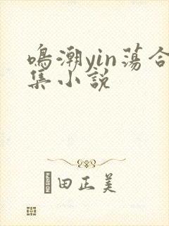 鸣潮yin荡合集小说